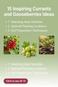 15 Easy Currants and Gooseberries Ideas for Abundant Harvests