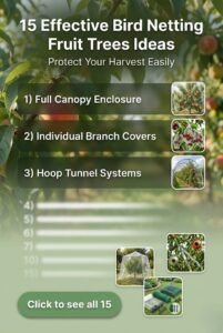 15 Effective Bird Netting Fruit Trees Ideas for Max Harvest