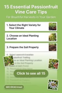 15 Essential Passionfruit Vine Care Tips for Bountiful Yields