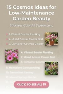 15 Easy Cosmos Ideas to Brighten Your Garden