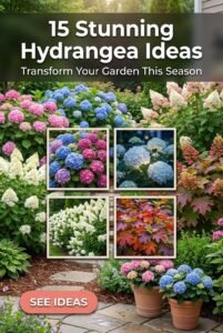 15 Stunning Hydrangea Ideas to Transform Your Garden
