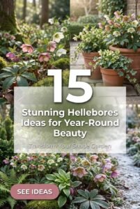 15 Stunning Hellebores Ideas for Year-Round Garden Beauty