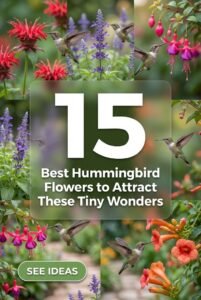 15 Easy Hummingbird Flowers to Attract Birds Fast