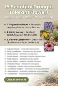 15 Drought Tolerant Flowers for Stunning Low-Water Gardens