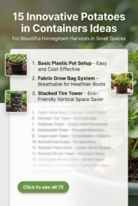 Ultimate 15 Potatoes in Containers Guide for Expert Growers