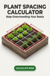 Accurate Plant Spacing Calculator (With Buffer)