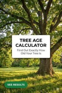 Tree Age Calculator: Estimate Tree Age Instantly