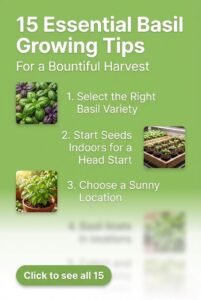 15 Hidden Basil Growing Tips You Must Try Today