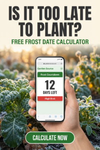 Accurate First Frost Date Calculator & USDA Zone Guide