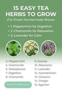 15 Easy Tea Herbs to Grow for Fresh Home Brews